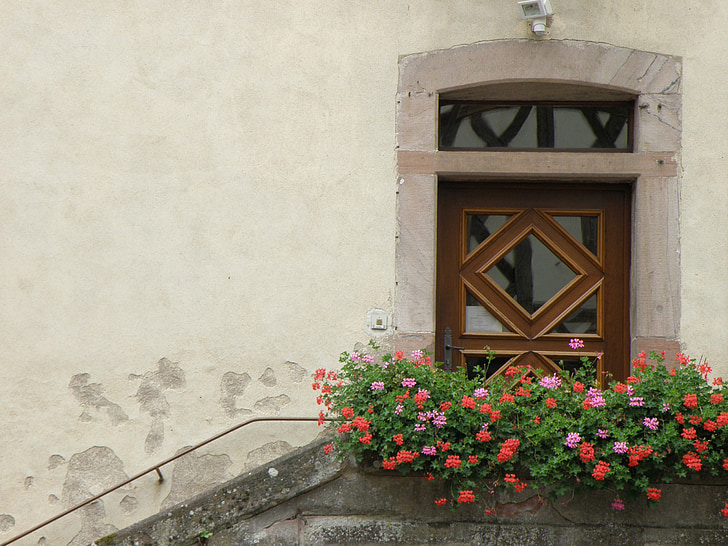 door, entrance, veranda, geraniums, house