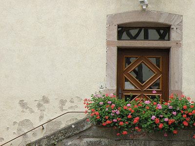 door, entrance, veranda, geraniums, house