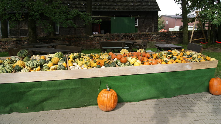 уличной торговли, Улица stall, овощной стенд, Осень, Хэллоуин, тыквы, Тыква