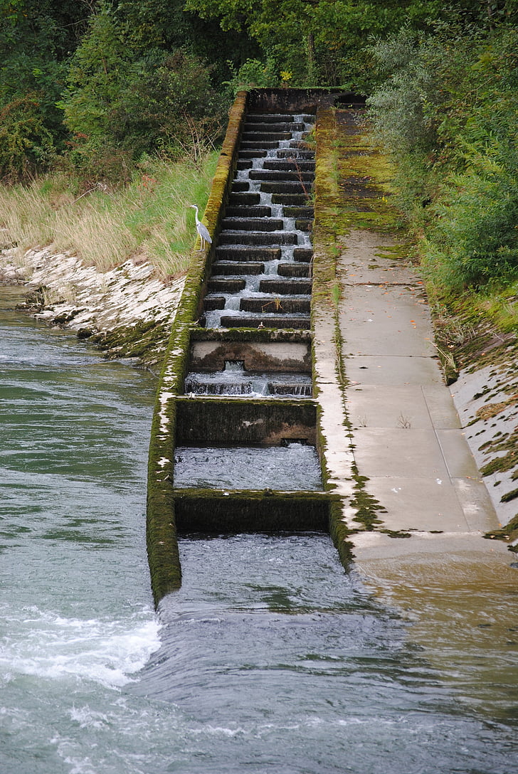 échelle à poissons, passe à poisson, rivière, centrale électrique, Baden-Dättwil, Suisse, nature