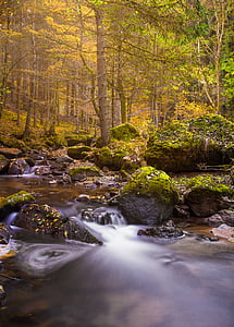 秋天, 瀑布, 长时间曝光, 巴赫, 水域, 流量, 树木