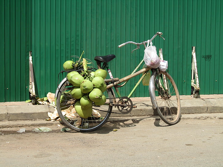 kokosrieksts, velosipēdu, zaļa, iela