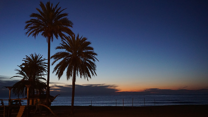 Marbella, İspanya, gündoğumu, avuç içi, Sahil, Malaga, Endülüs