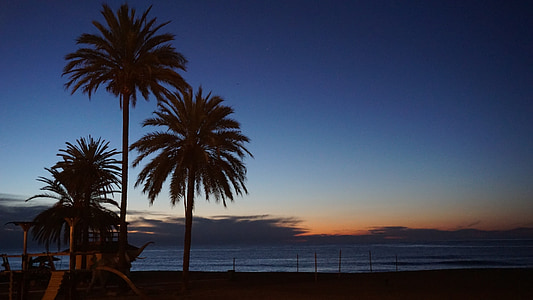 Marbella, Španielsko, Sunrise, Palms, morské pobrežie, Malaga, Andalúzia