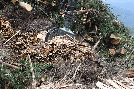 kayu, batang, biomassa, kayu, kayu chips, hutan
