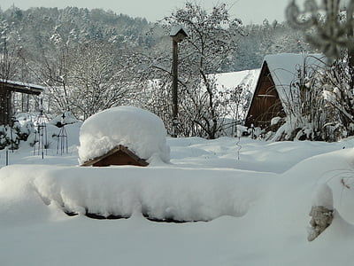 雪, ガーデン, 冬, 鳥, ウィンター マジック, 冷・温, 自然