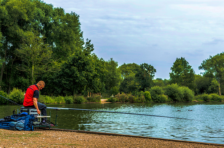 fishing, man, rod, angler, lake, trees, outdoors