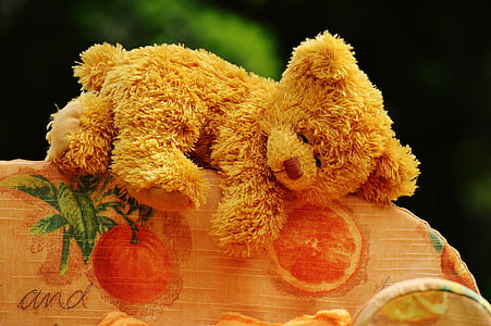 медведь, диван, медведи, сладкий, мило, Плюшевые, Тедди