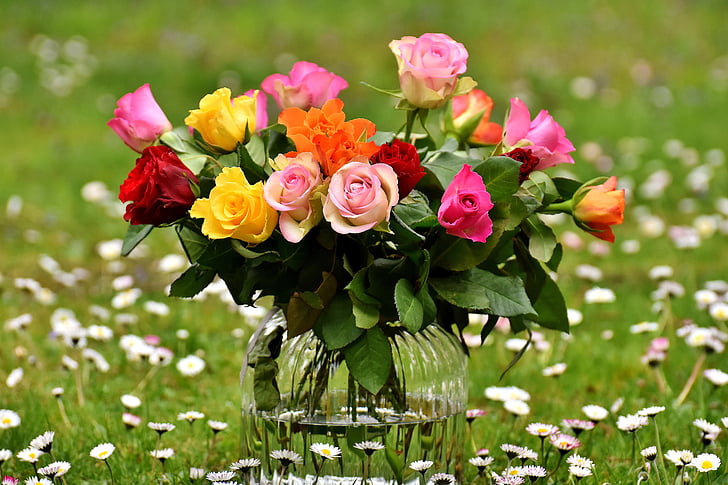 mawar, karangan bunga, bunga, vas, warna-warni, hadiah, padang rumput