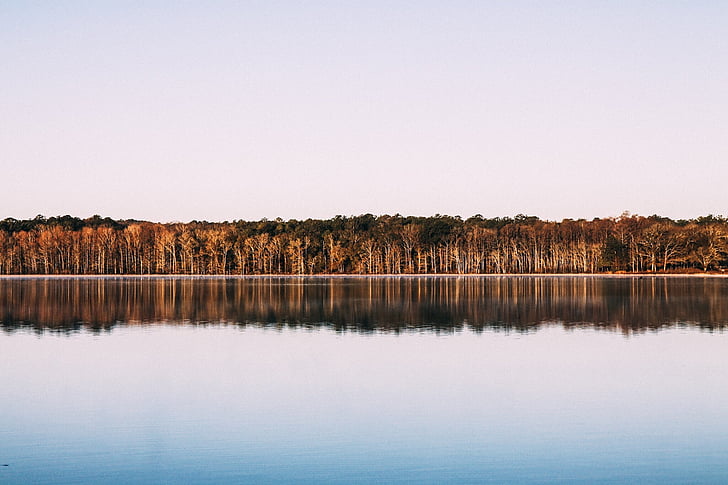 trær, Lake, refleksjon, speil, vann, natur, landskapet