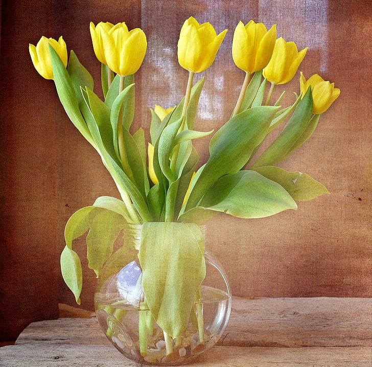 tulipes, bouquet, fleurs jaunes, fleurs de printemps, fleurs coupées, vase, verre