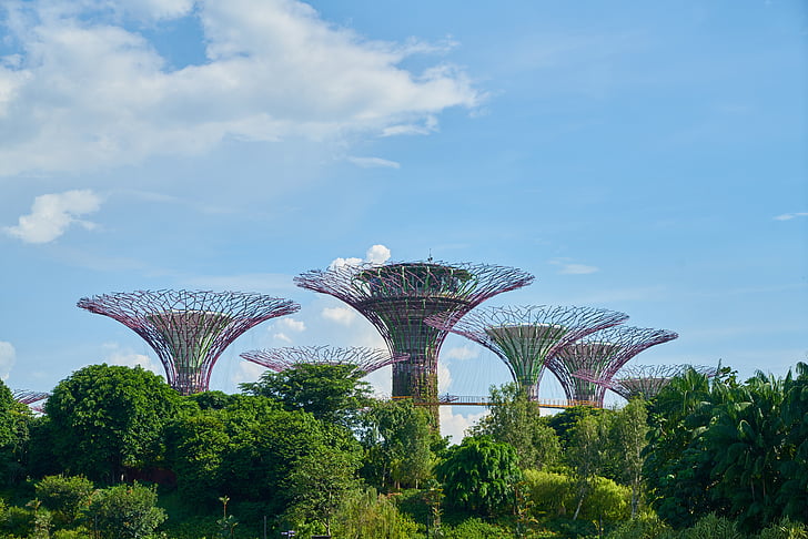 싱가포르, 아시아, 공원, 정원, 자연, 그린, 나무