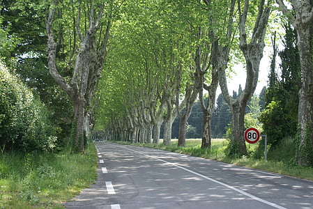 south of france, road, provence