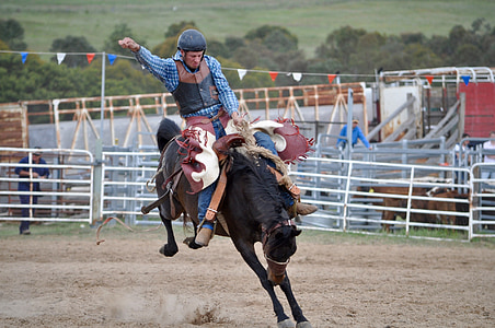 Cowboys, bronc motociklist, Rodeo, Divji konj, konj, človek, poskakuje
