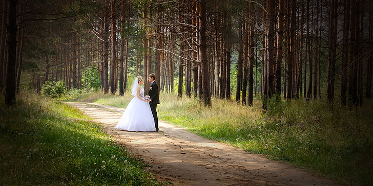 wedding, just married, bride, the groom, dress, nature, trees
