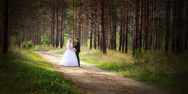 bröllop, smekmånaden, bruden, brudgummen, klänning, naturen, träd
