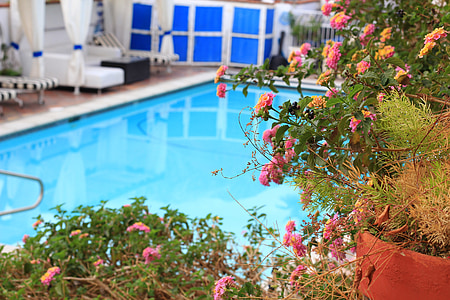 piscina, nuoto, Vacanze, Hotel, giardino, giardinaggio, piscine