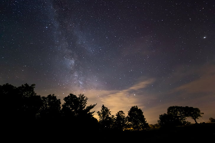 silueta, strom, noční, čas, hvězdy, Mléčná dráha, Příroda