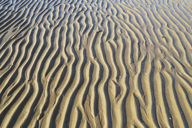 nisip, plajă, crestele, margini, mare, relief