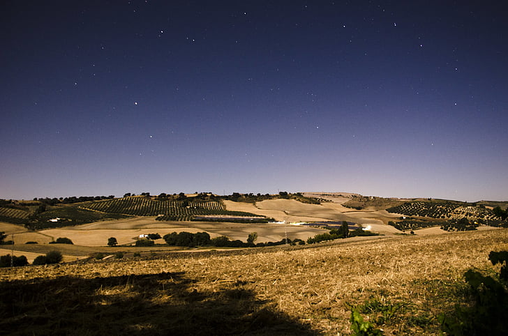 marrón, campo, noche, tiempo, Prado, colina, paisaje