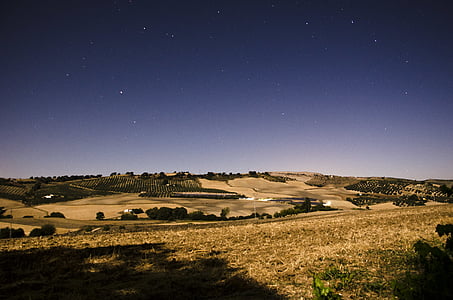 marrón, campo, noche, tiempo, Prado, colina, paisaje