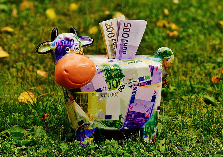 Piggy bank, soldi, mucca, fattura del dollaro, 500 euro, Pimpi, Salva