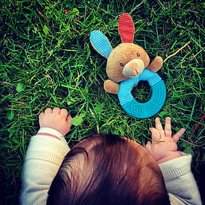 bayi, rumput, mainan, tangan, Kelinci