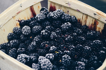 黑莓, 水果, 很多, 黑莓, 食品, 健康, 购物篮