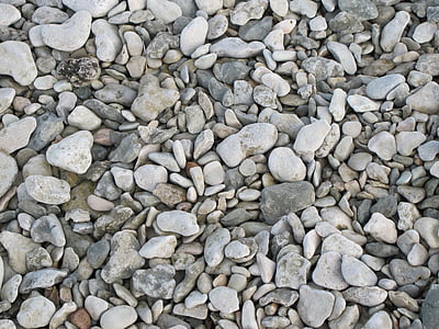 pietre, ciottoli, spiaggia, grigio, grigio, terra, Gotland
