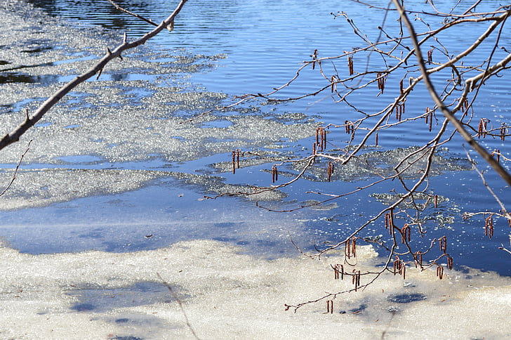 pavasarį, jūra, ledo