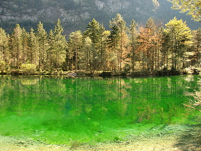 bluntautaler jezero, bluntautal, salcburské zemi, jezero v golling, reflexe, zelená barva, voda