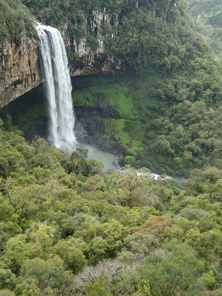 Serra gaucha, vattenfall, brudslöja, kanel