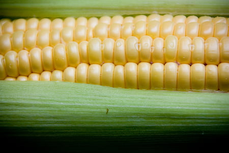 Кукуруза, овощной, Здравоохранение, здоровые, питание, обед, расти