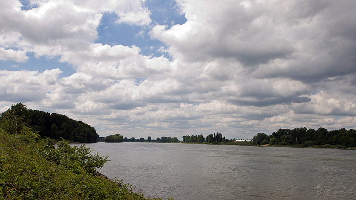 Рейн, вода, река пейзаж, банка