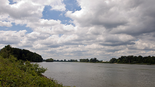 rhine, water, river landscape, bank