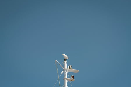 mast, vogel, blauw, hemel, technologie, communicatie