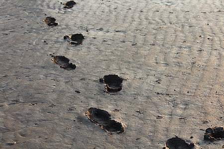footprints, steps, bristol, coast, ebb, mud, traces