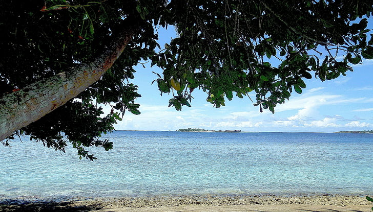 beach, ocean, blue, waters