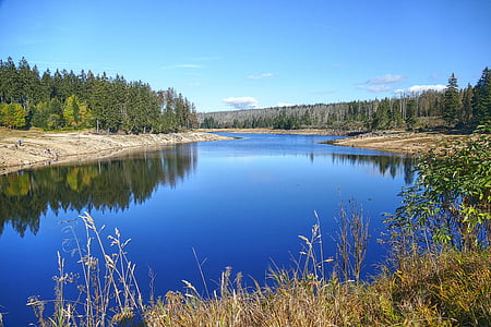 reservoir, of vijver, Dam, Braunlage, natuur, bos, water