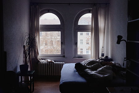 cama, folha, cobertor, quarto, interior, planta, janela