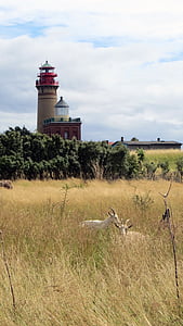 Мыс Аркона, Рюген, Клифф, маяки, сигнал предупреждения, мореплавание, Балтийское море