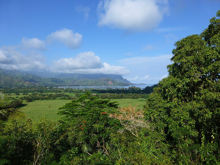 Kauai, живее, Хавай, ферма, земя, крайградски, пейзаж