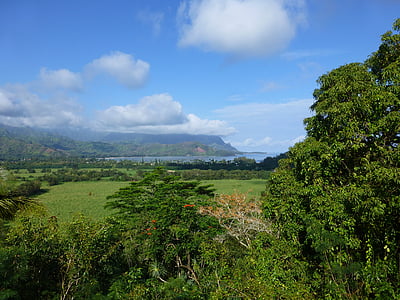 Kauai, Hanalei, Hawaii, pertanian, Tanah, pedesaan, pemandangan