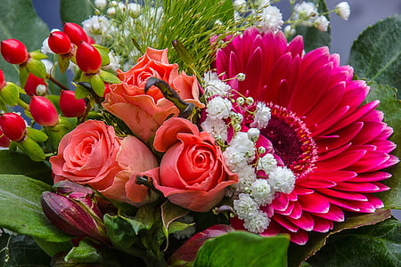 bouquet, rose, gerbera, red, cut flowers