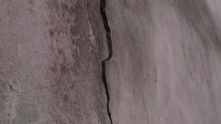 cracking, superficie, crepa, parete, vecchio, vernice, licheni