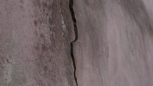 craquage, surface, fissure, mur, vieux, peinture, lichens
