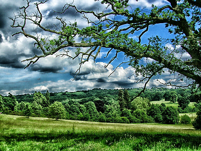 Kent, England, Vereinigtes Königreich, Landschaft, landschaftlich reizvolle, Himmel, Wolken