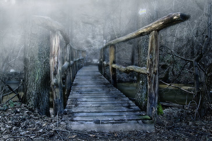 bridge, wooden bridge, color, the fog, water, no people, day
