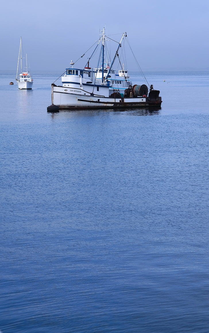 Port, vody, prístrešok, Monterey bay, loď, USA, Kalifornia