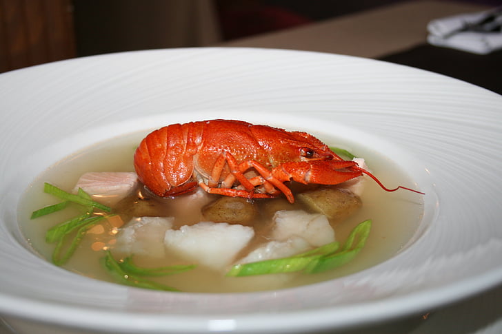cancer, soup, food, plate, ear, seafood, gourmet